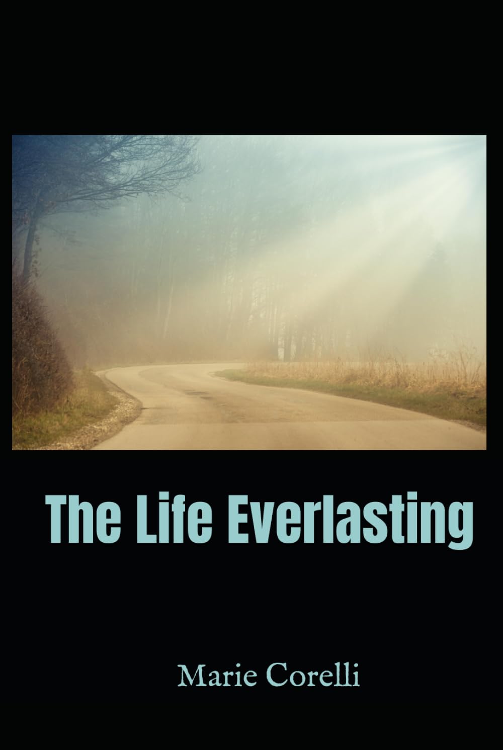 The Life Everlasting: A Spiritual Novel of Immortality, Faith, and Human Destiny