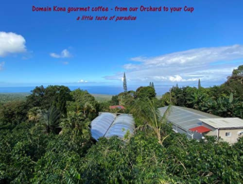 Domain Kona Peaberry Ground
