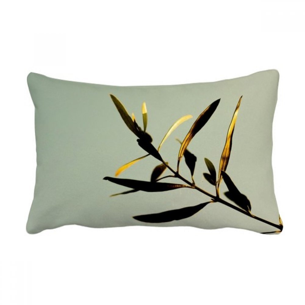 Coussin lombaire nature pour sublimer votre canapé et vos moments détente