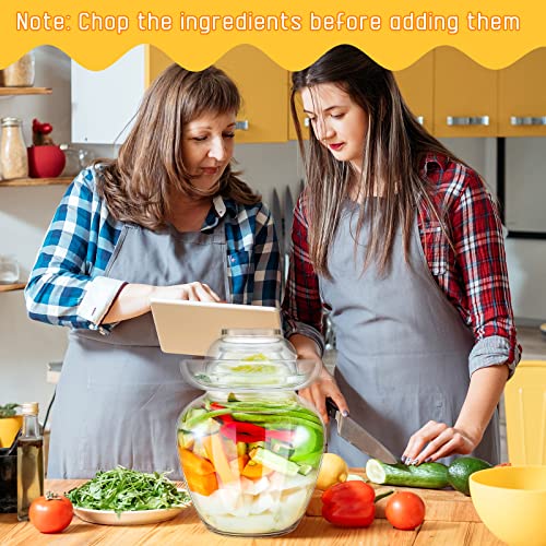 2 Pieces Fermenting Glass Jar Traditional Fermentation Jar Fermentation Crock With Water Seal Airlock Lid Pickling Jars Pickle Container For Wine Brewing Pickling Kimchi Sauerkraut Pickle Pot, 2.5L #TOP4