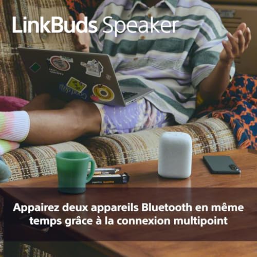 Sony Enceinte LinkBuds - Enceinte Portable sans Fil Bluetooth, IPX4, Résistante à l'eau, Batterie de 25 Heures, Qualité d'Appel Clair, Outdoor, Voyage - Noir