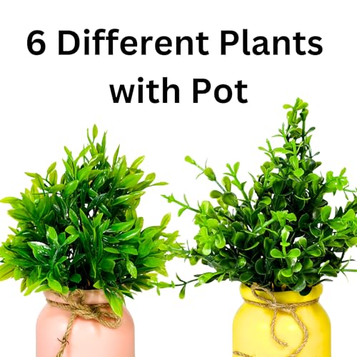 Image of Dekorly Artificial Pot Flowers Small Fake Plants with Pot Mini Potted Plants for House Office Tabletop Decoration (Pack of 6)
