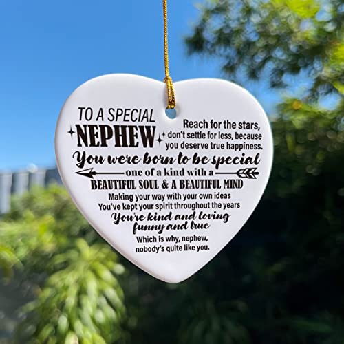 Image of Nephew Gifts from Auntie Aunt Uncle, Christmas Tree Keepsake Ornaments Gifts for Nephew from Auntie Aunt Uncle, Holiday Christmas Tree Decorations Ornaments Sign, You were Born to Be Special