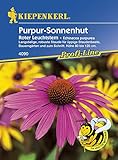 Kiepenkerl 4090 Purpur-Sonnenhut Roter Leuchtstern (Purpur-Sonnenhutsamen)