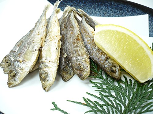 国産 まめあじ 1kg バラ凍結 豆アジ 　豆アジ　じんた ・豆あじ・ 3枚目