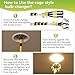 Dreyoo Light Bulb Changer Set with 3 to 12 ft Telescopic Extension Pole, Cage and Suction Cup Light Bulb Changer for High Ceilings and Recessed Lights, with Broken Bulb Changer, Lightbulb Removal Tool