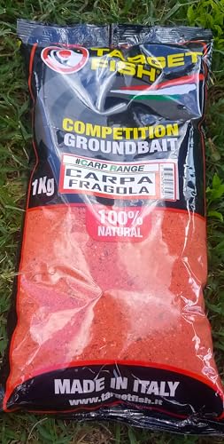 Pastura Carpa Tinca Fragola Rossa Pesca Carpe Carpfhing Method Feeder