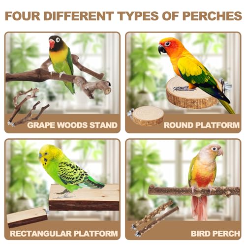 LIMIO 6-Piece Bird Perch Set - Natural Wood Grape Sticks, Paw Grinding Forks, Bird Stand & Toys for Parakeets, Cockatiels, Conure, Budgies - Image 5