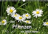 Autor(in): Manfred Zajac Den Pflanzen ein Stück näher (Wandkalender 2021 DIN A4 quer)