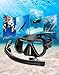 Greatever Dry Snorkel Set,Panoramic Wide View,Anti-Fog Scuba Diving Mask,Professional Snorkeling Gear for Adults