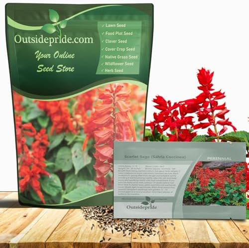Outsidepride Salvia Coccinea Scarlet Sage Seeds for Planting - 50...