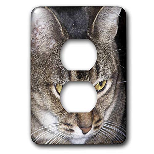 Maine Coon 2 cache prise double 3dRose lsp_19181_6 decoration murale chat - 2