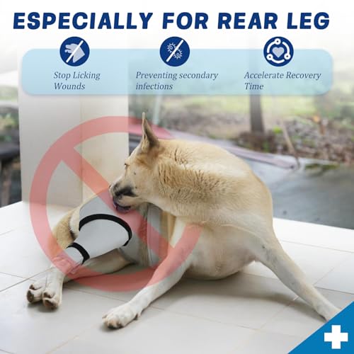 Image of Dog Sleeve for Rear Legs to Stop Licking, Upgraded Recovery Sleeve for Hind Back Leg Wounds,TPLO, ACL Surgery, Light Comfortable Cone Alternative,Right,S,Black-Gray