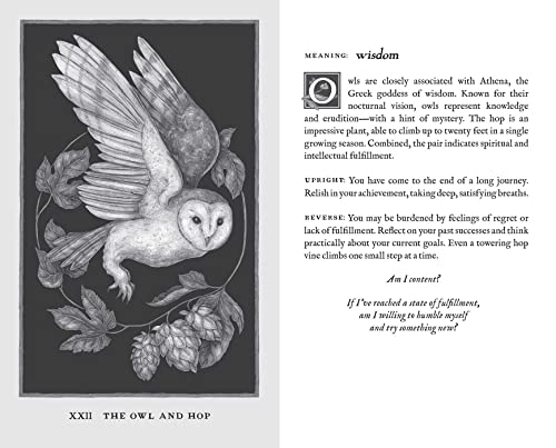 Woodland Wardens: 52-Card Oracle Deck & Guidebook - Image 8