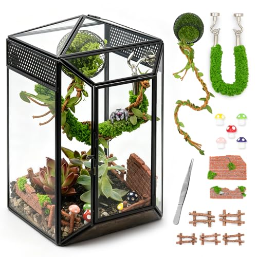 Clioran Glass Jumping Spider Enclosure Kit Escape Proof Gothic Spider Tank
