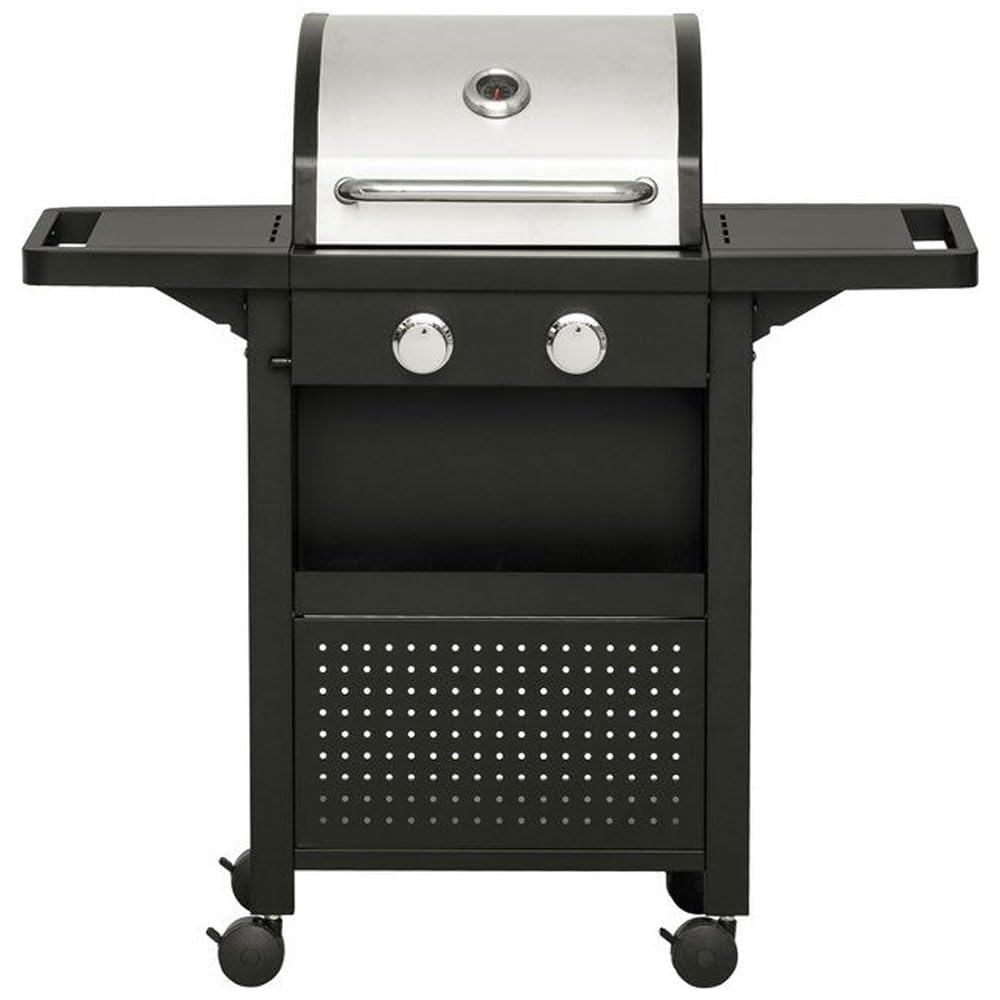 Barbecue a Gas Professionale Acciaio Inox 2 Fuochi con Termometro e Ruote Bloccabili