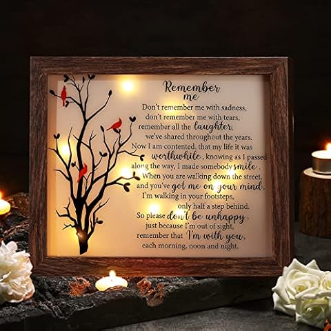 Gerrii Sympathy Gifts Red Cardinal Memorial Bereavement Gifts LED Memorial Gifts for Loss of Love One Wooden Shadow Box 10'' x 8'' in Poem and LED Light for Funeral Bereavement (Retro Style) Cover