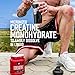 BSN CREATINE DNA - 60 servings