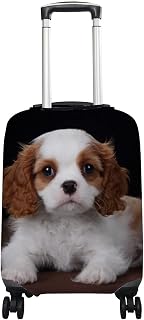 A capa de mala de bagagem serve para malas de 46-81 cm Cute Puppy Cavalier King Charles Elastic Anti-Scratch Travel Suitcase Protector P-GG, Multicor, S(Fits 18-20in suitcases)