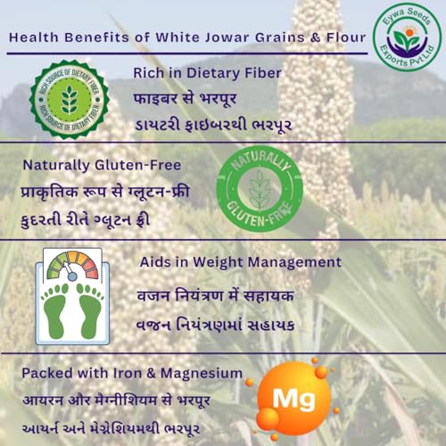 Image of Organic White Sorghum Flour (5 Kg) /white Cholam /jovar /jonna /jola For Eating And Cooking By EYWA
