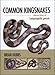 Common Kingsnakes, A Natural History of 'Lampropeltis getula'