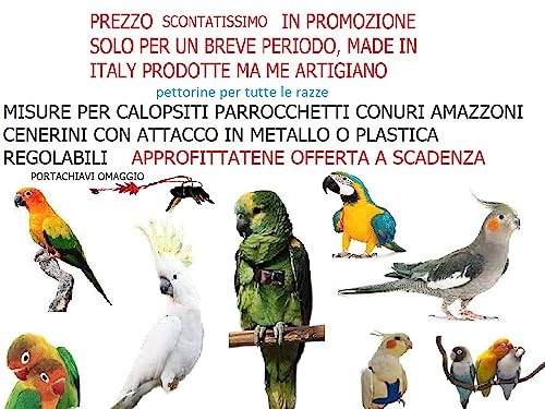 Petorina para loros regulable con cuerda elástica de 3 mm y cinta ajustable 5