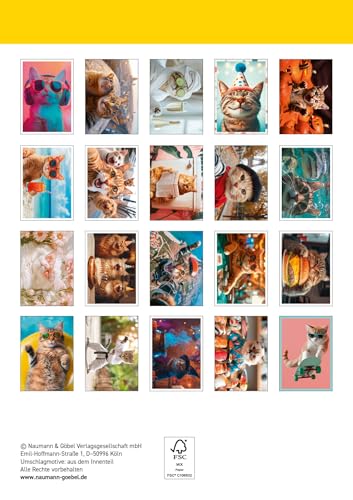 Postkartenblock Crazy Cats: 20 witzige Postkarten zum Verschenken und Verschicken