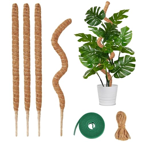 Moosstab Monstera, 6er Set Kokosfaser mit Hanfseil und Klettband,...