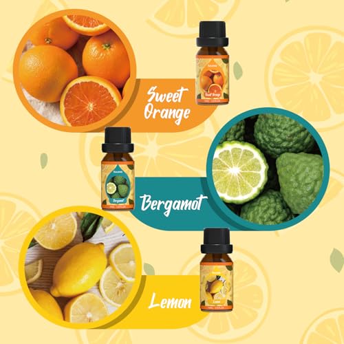 Image of SALKING Citrus Burst Essential Oil Set, Premium Fragrance Oil for Diffuser
