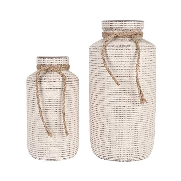 TERESA'S COLLECTIONS Rustic Ceramic Vase for Home Decor, Farmhouse Decorative Vase for Pampas Grass, Flower Vases for Table Centerpieces, Boho Vase for Mantel, Fireplace, Living Room, 9.7in -Set of 2 TERESA'S COLLECTIONS Rustic Ceramic Vase for Home Decor, Farmhouse Decorative Vase for Pampas Grass, Flower Vases for Table Centerpieces, Boho Vase for Mantel, Fireplace, Living Room, 9.7in -Set of 2