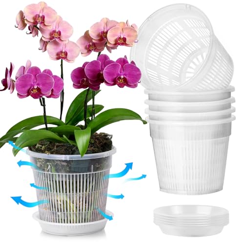 T4U Orchid Pot 6 Pack 16cm Orchid Pots with Holes and Saucers Clear Orchid Pots for Repotting Plastic Flower Plant Pot for Indoor Outdoor Plants Slotted Orchids Planter for Root Health
