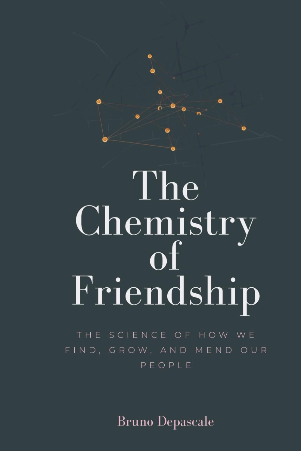 The Chemistry of Friendship: The Science of How We Find, Grow, and Mend Our People