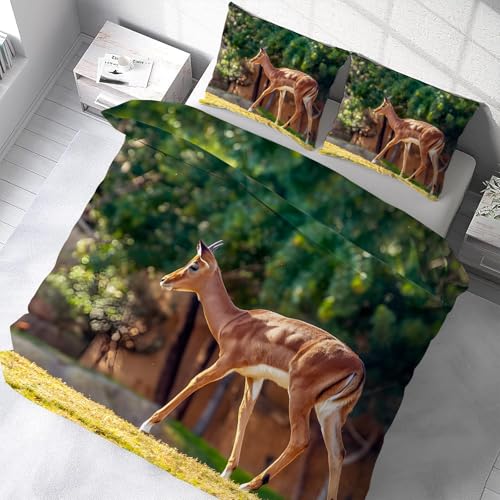 zcJo[Zbg _u 3_Z Ae[v QJo[ZbgzcJo[|GXe100 DG _炩 ʋC ^Cvh_jlGʗp(190x210cm)2 Jo[(43x63cm)