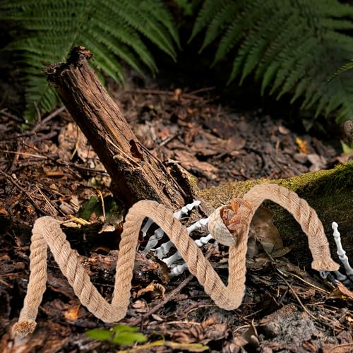 Image of Hermit Crab Climbing Toys, Bendable Hermit Crab Climbing Rope Ladder with 2 Suction Cup, Hermit Crab Supplies, Reptile Vines Toys Habitat Decor for Geckos Lizards Snakes Tree Frogs (39.4 inch)
