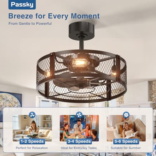 Image of Passky 20 Inch Farmhouse Caged Ceiling Fans with Lights and Remote, Black Downrod Mount Bladeless Fandelier, 6 Speeds Bladeless Ceiling Fan Light for Bedroom, Kitchen, Living Room, Indoor