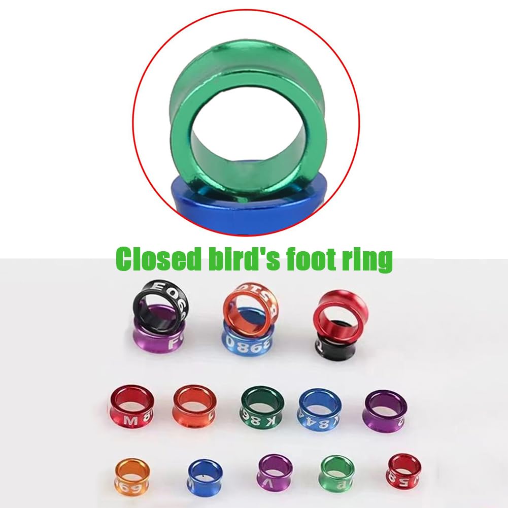 Colore Misto, Anello per Gamba di Piccione in Alluminio, numerato Casualmente, Fascia di identificazione dell'anello per Gamba di Piccione (4-8 mm) 200pz Mixed colors5.0mm
