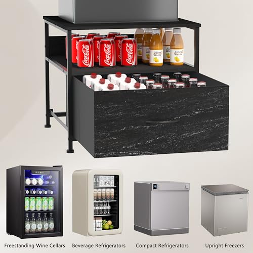 Portable Mini Fridge with Freezer