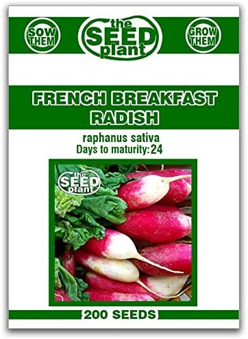 French Breakfast Radish Seeds - 200 Seeds Non-GMO