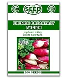 French Breakfast Radish Seeds - 200 Seeds Non-GMO