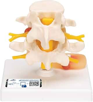 51tYQUdR1YL._AC_UF350,