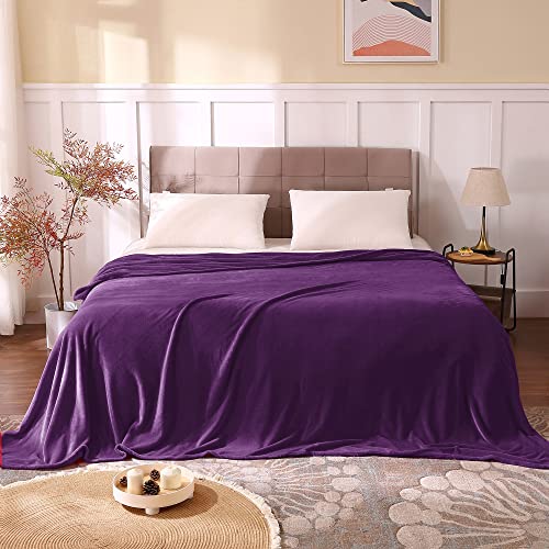 Image of BEDELITE Fleece Blankets Queen Size Purple Throw Blankets for Bed, Luxury Plush Cozy Fuzzy Blanket 90x90 inches, Super Soft Warm Lightweight Throw Blanket All Seasons Suitable