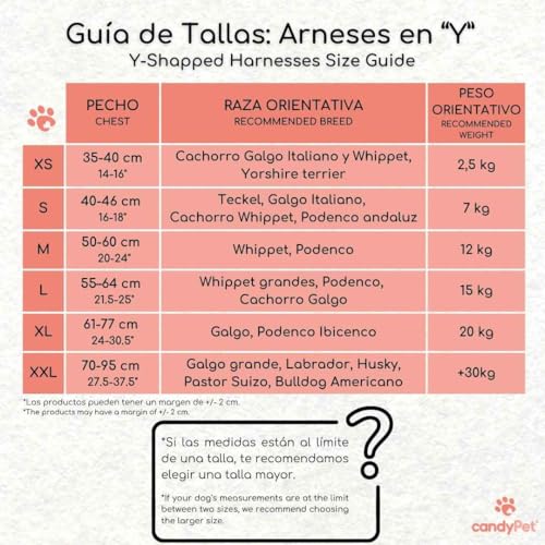 Reflektierendes Hundegeschirr in Y-Form, ideal für Lebreles: Italienischer Windhund, Whippet, Windhund, Podenco - sicher, atmungsaktiv und langlebig, perfekt zum Training und Laufen, Himmelblau, XL
