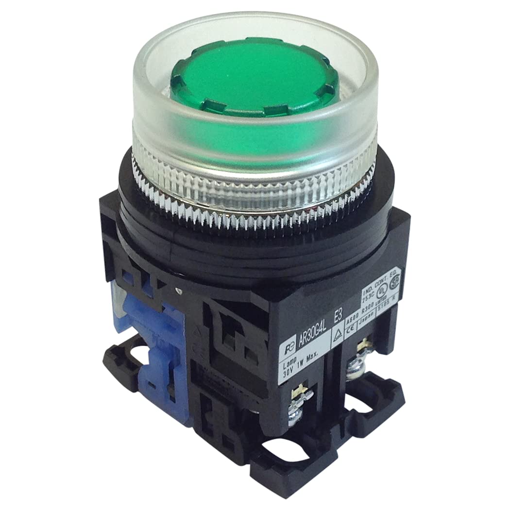 AR30G4L-10E3G | AR30G4L-10E3G | FUJI ILLUMINATED PBUTTON EXTENDED