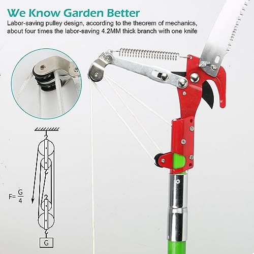 Pole Pruning Saw for Tree Trimming, Manual Trimmer Extendable Pole Saw Garden Tools Long Handle Adjustable Length, Tree Loppers Long Reach for Palm Oak High Branches (2M) - Image 2