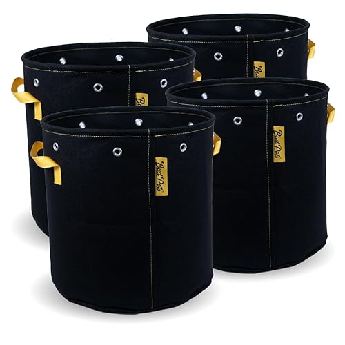 BudPots for Optimal Plant Growth | 10 Gallon Fabric Pots