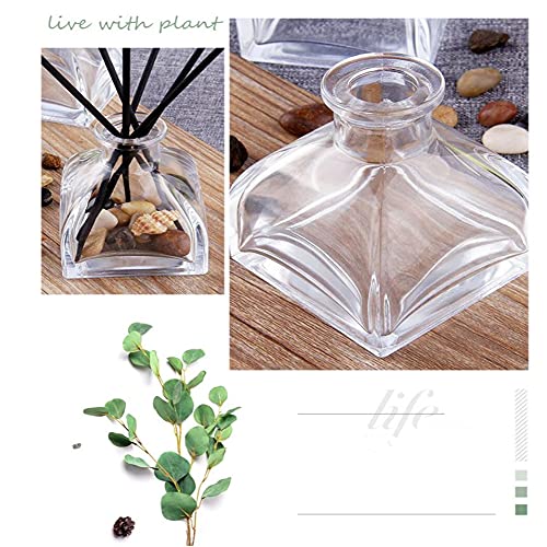 Set 2 Botellas Difusoras de Vidrio Vacías 3.4 OZ miniatura 4