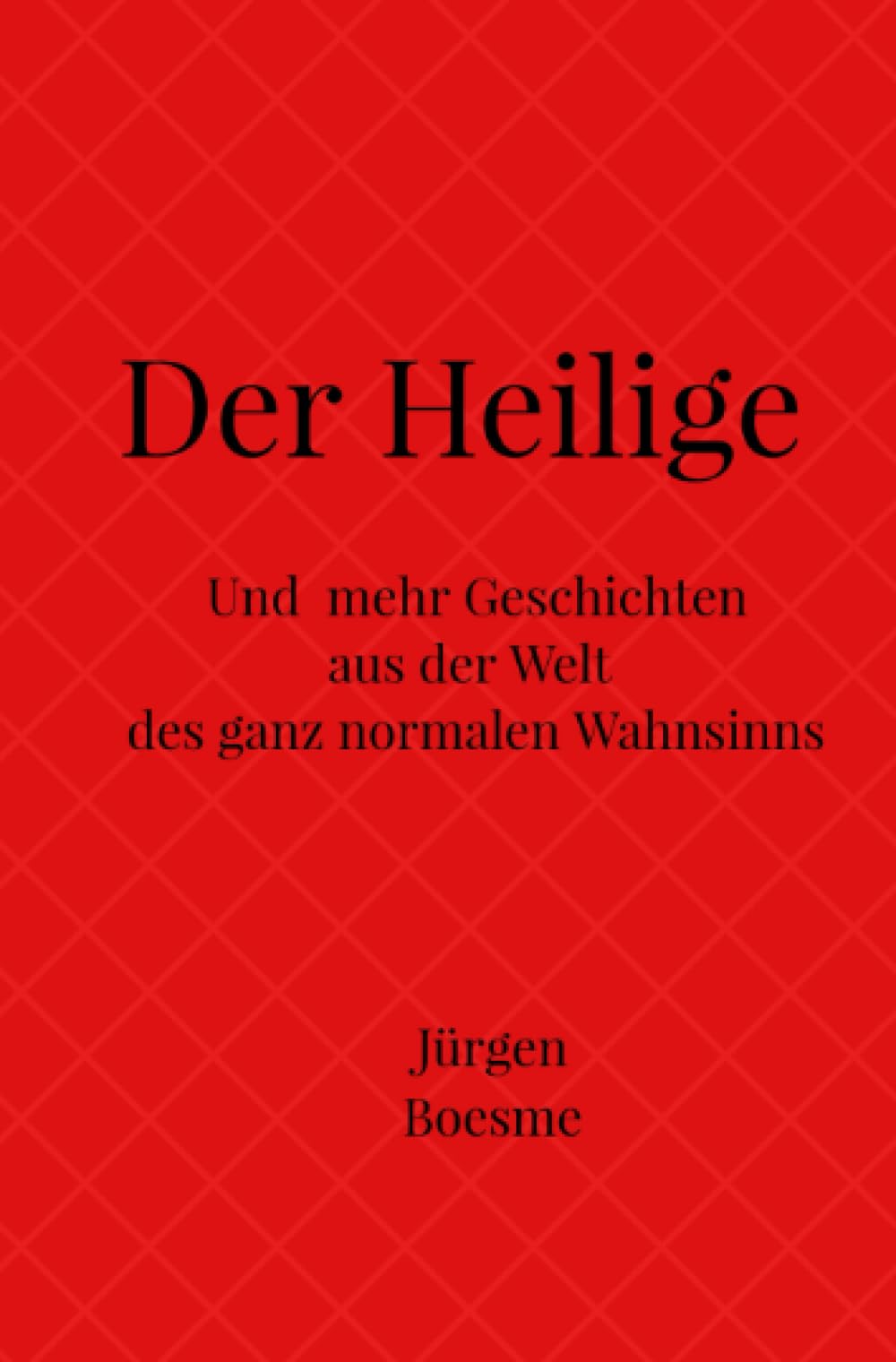 Der Heilige: Und mehr Geschichten aus der Welt des ganz normalen Wahnsinns