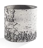 SURREAL Planters VB6 Vertical Planter, 8-Inch, Birch