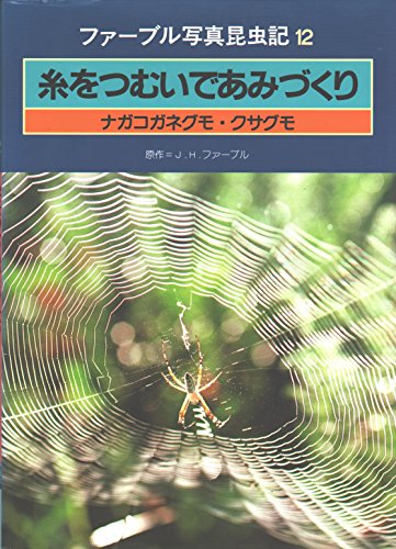 糸をつむいであみづくり ファーブル写真昆虫記 ジャン アンリファーブル の感想 ブクログ