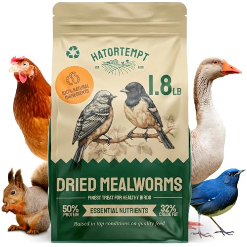 Hatortempt 5L Premium Mehlwürmer getrocknet - Non-GMO, Natürliches Vogelfutter Wildvögel ganzjährige Ernährung, trockene Würmer für Vögel, Hamster 820 gr